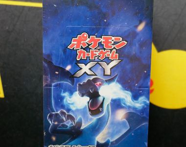 Pokemon XY - Wild Blaze Display - XY2 - Erste Edition